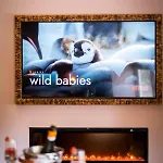 Апартаменты Craig's